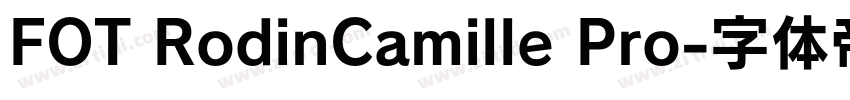 FOT RodinCamille Pro字体转换